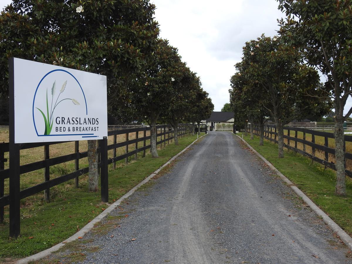 Grasslands Bed & Breakfast Cambridge Eksteriør billede