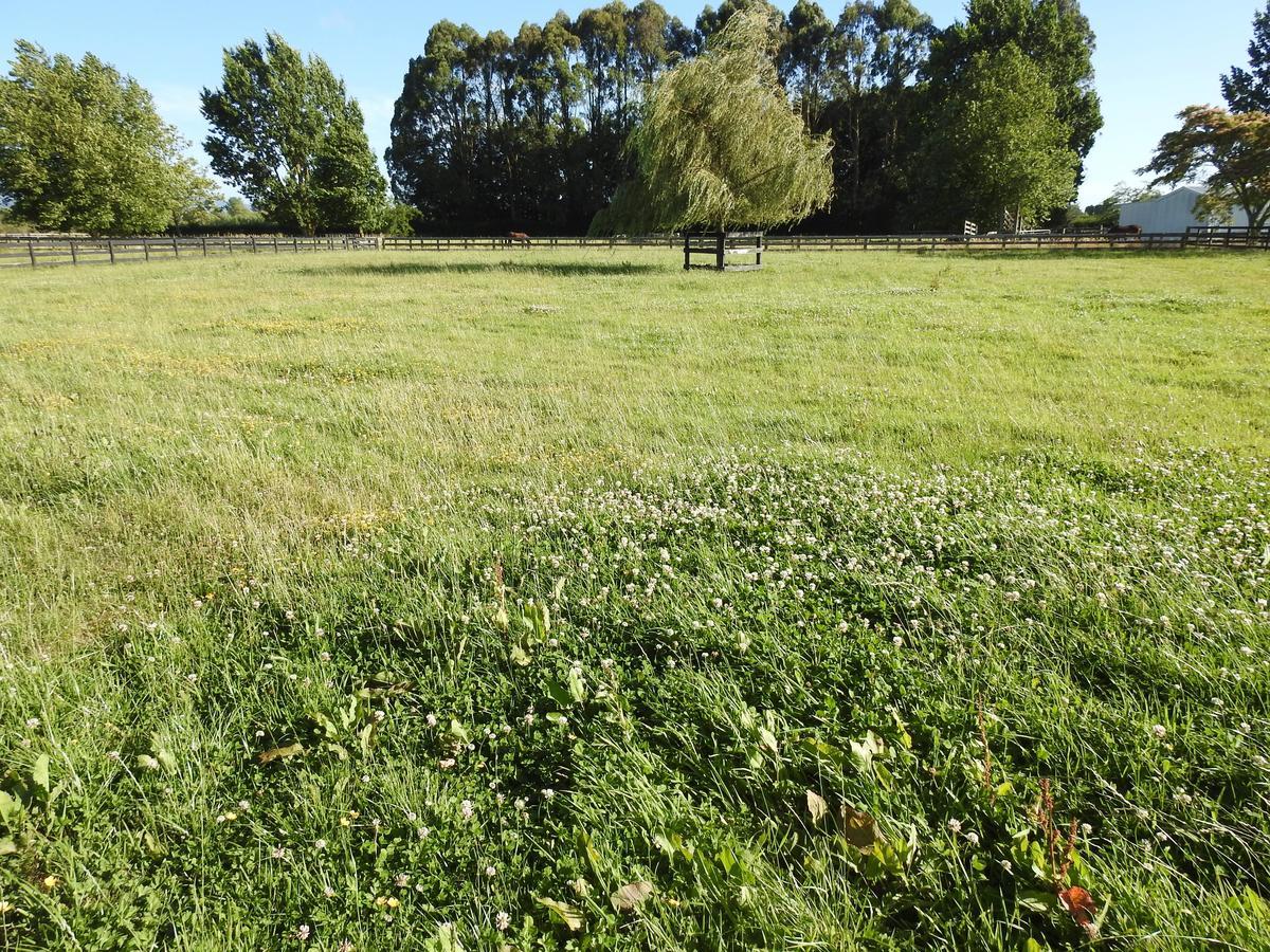 Grasslands Bed & Breakfast Cambridge Eksteriør billede