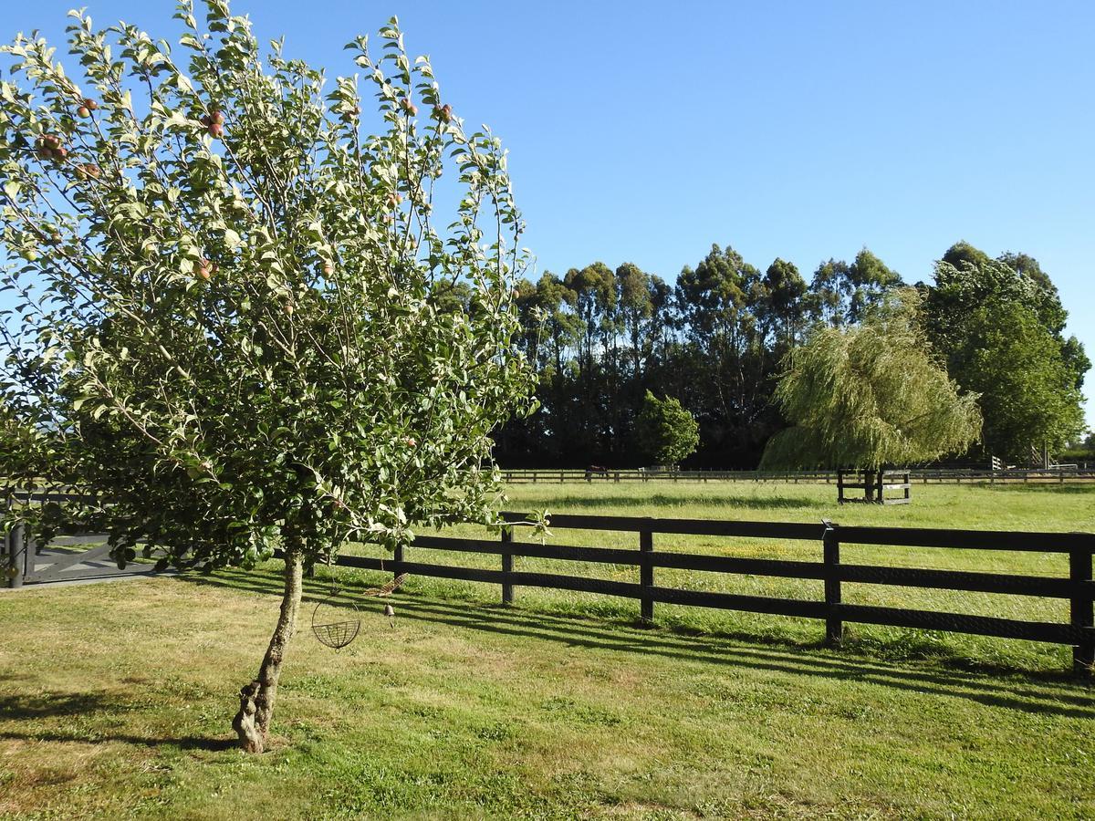 Grasslands Bed & Breakfast Cambridge Eksteriør billede